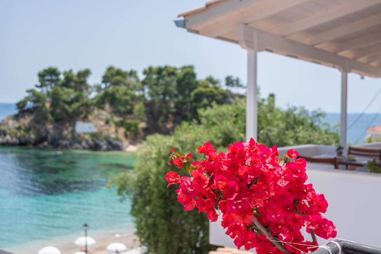 Krioneri Beach Studios بارغا المظهر الخارجي الصورة